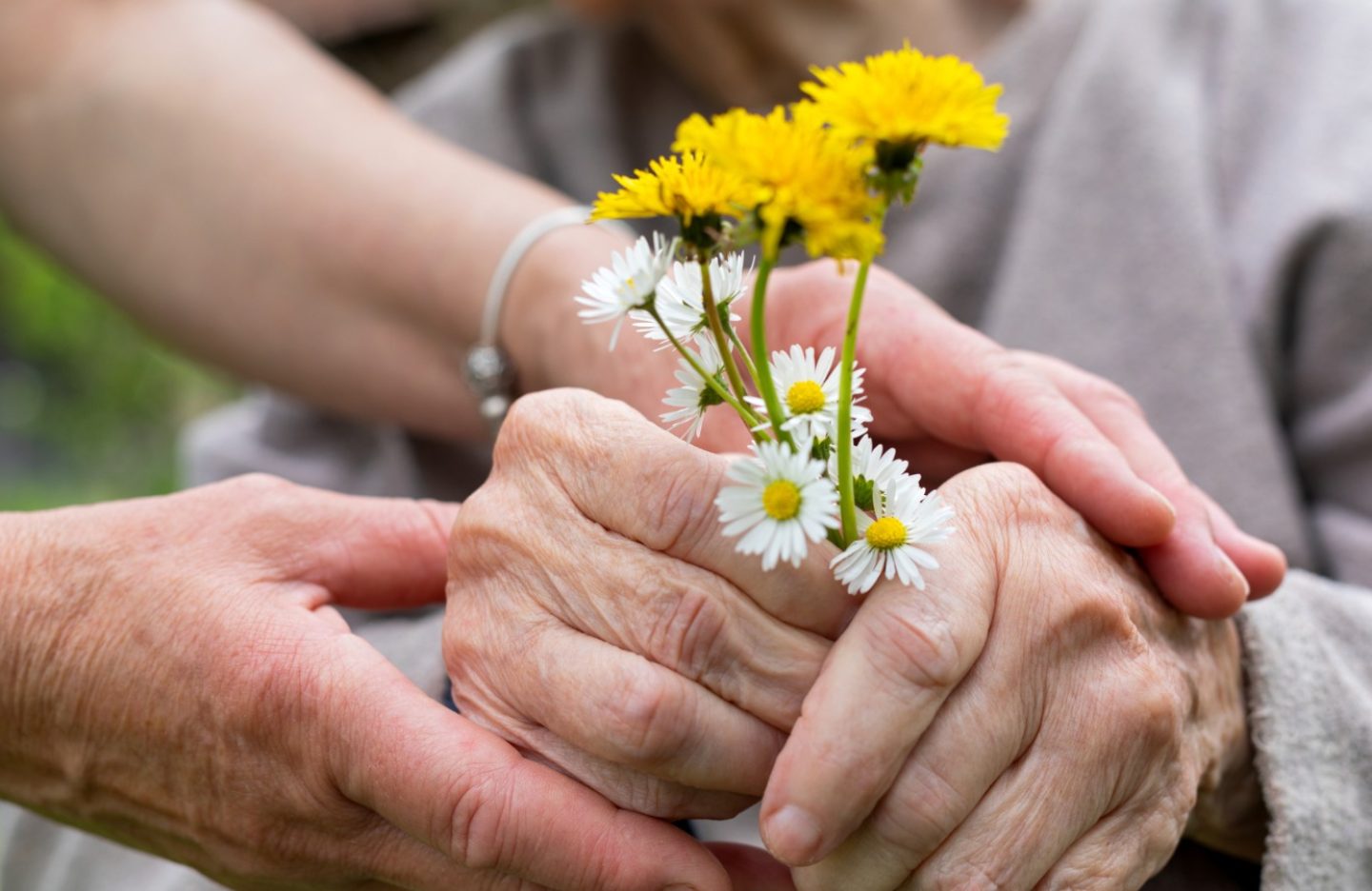 WhatsApp Image 2026-03-04 at 10.18.49